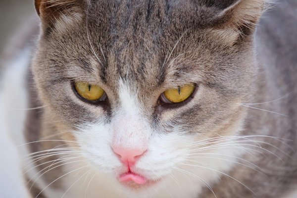 Wie beeinflusst die Mode die soziale Wahrnehmung?